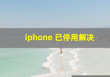 iphone 已停用解决